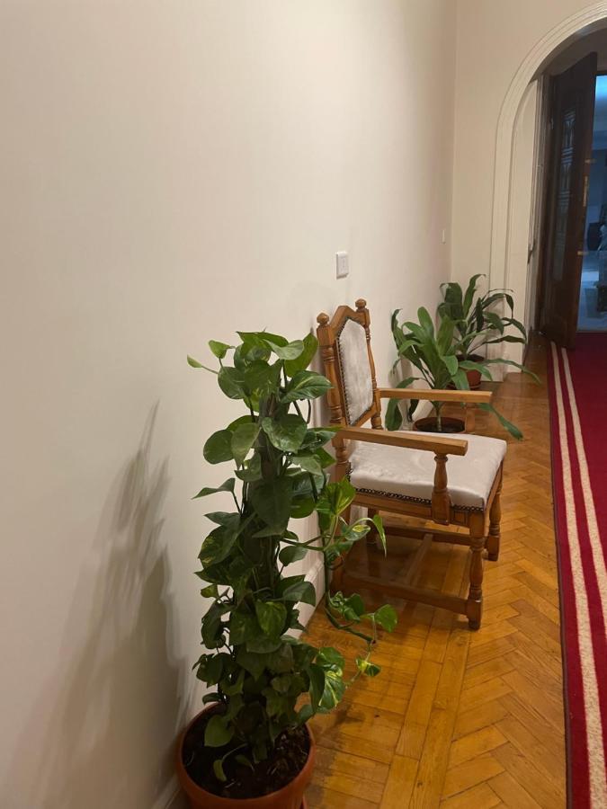 Central Cairo Hotel Екстер'єр фото